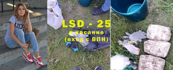 ГАЛЛЮЦИНОГЕННЫЕ ГРИБЫ Карпинск