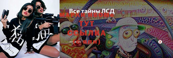 ГАЛЛЮЦИНОГЕННЫЕ ГРИБЫ Карпинск