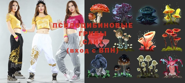 прущие грибы Карталы